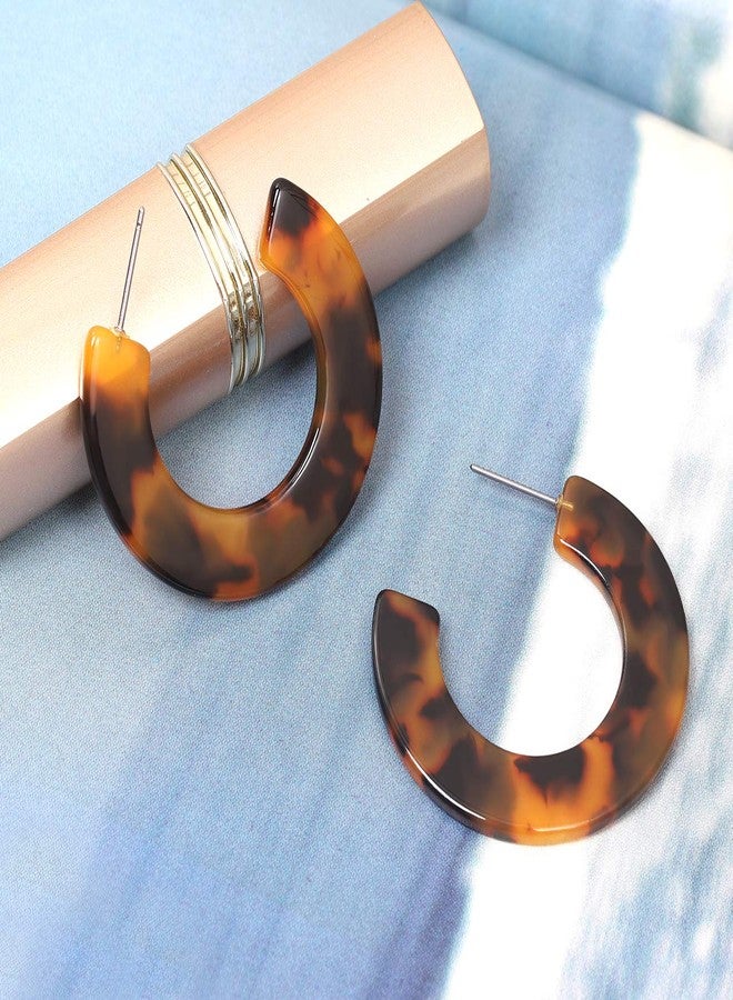 HSWE Leopard Hoop Earrings for Women Tortoise Shell Earrings Acrylic Earrings Resin Earring (Tortoise Shell) - Image 4