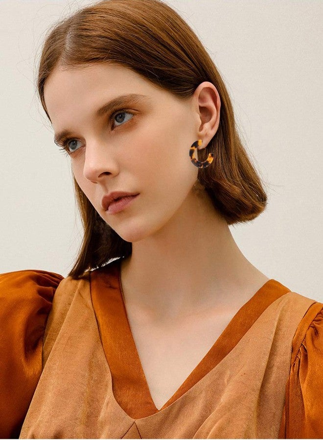 HSWE Leopard Hoop Earrings for Women Tortoise Shell Earrings Acrylic Earrings Resin Earring (Tortoise Shell) - Image 2