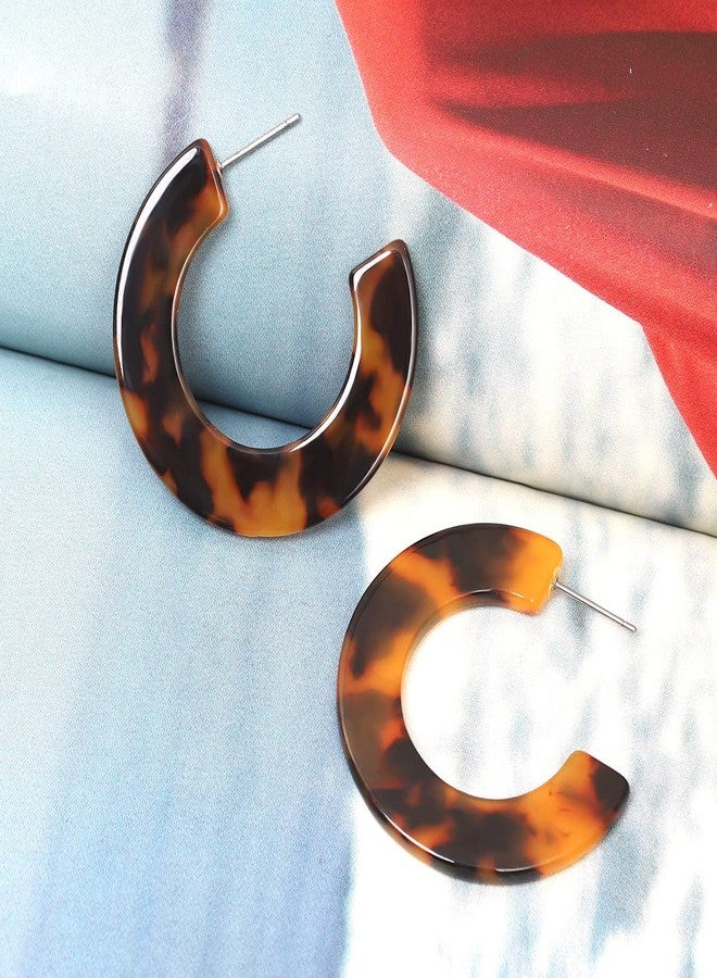 HSWE Leopard Hoop Earrings for Women Tortoise Shell Earrings Acrylic Earrings Resin Earring (Tortoise Shell) - Image 3