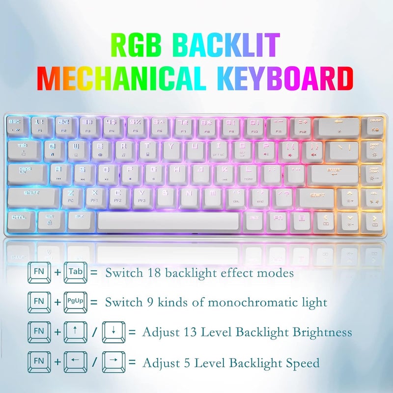 LexonElec 60% Mechanical Keyboard Mini Compact 68 Keys USB C Wired RGB Backlit Keyboard 18 Chroma Rainbow Backlight Portable Full Keys Anti-ghosting Compatible With PS4,Xbox,PC,Laptop,MAC - White/Red Switch - Image 3