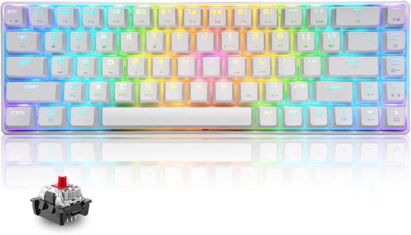 LexonElec 60% Mechanical Keyboard Mini Compact 68 Keys USB C Wired RGB Backlit Keyboard 18 Chroma Rainbow Backlight Portable Full Keys Anti-ghosting Compatible With PS4,Xbox,PC,Laptop,MAC - White/Red Switch - Image 1
