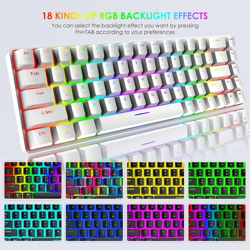 LexonElec 60% Mechanical Keyboard Mini Compact 68 Keys USB C Wired RGB Backlit Keyboard 18 Chroma Rainbow Backlight Portable Full Keys Anti-ghosting Compatible With PS4,Xbox,PC,Laptop,MAC - White/Red Switch - Image 5