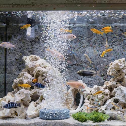 Wenshall 1.6 Inch Air Stone, Aquarium Air Stone, Air Stone for Fish Tank and Hydroponics Air Pump - Image 2