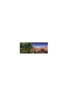 EBI Ebi Jungle & Dessert PhotoBackground For Terrarium  - Image 3