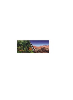 EBI Ebi Jungle & Dessert PhotoBackground For Terrarium  - Image 2