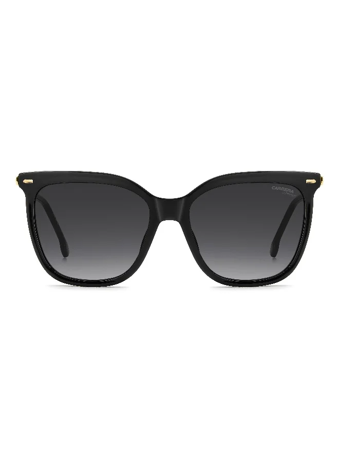 Carrera  CARRERA Sunglasses CARRERA 3071/S Black  | Best Price UAE