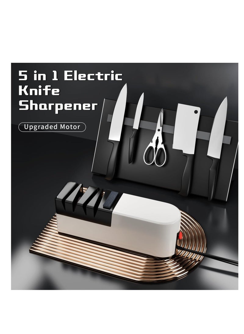 Electric Knife Sharpener, 5 in 1 Knife Sharpening System with Straight Blade, Professional Diamond Knife Sharpener for Rough Sharpening, Repair and Sharpening of Knives, Efficient Sharpening (TC1)