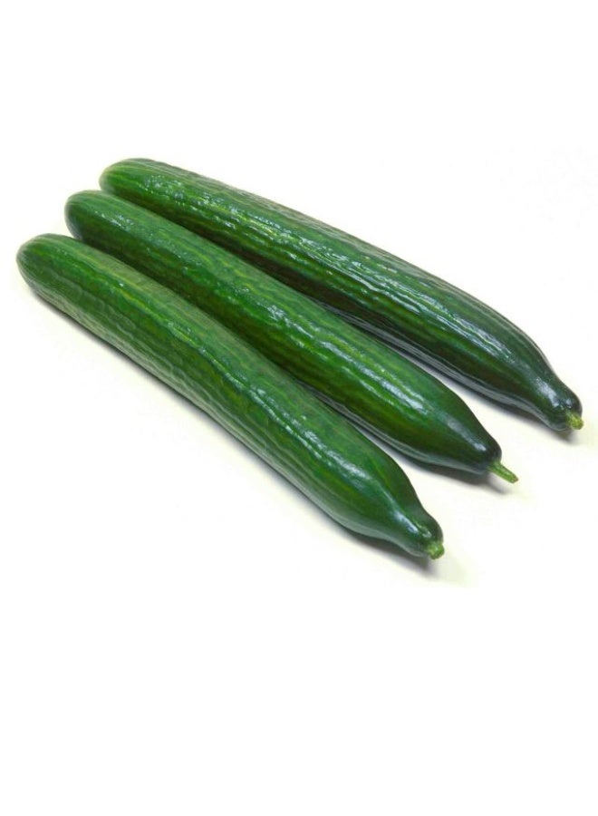English Cucumbers, 250-350g , Spain