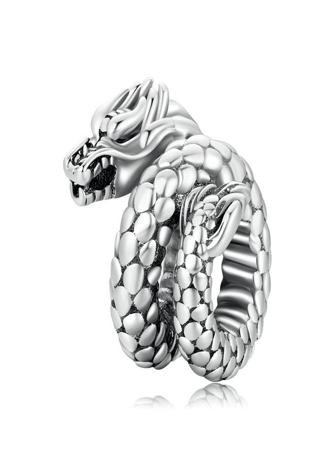 WOSTU Dragon Charm for Bracelet 925 Sterling Silver Vintage Coiled Dragon Charm for Birthday New Year Jewelry Gift for Family Members for Women - Image 1