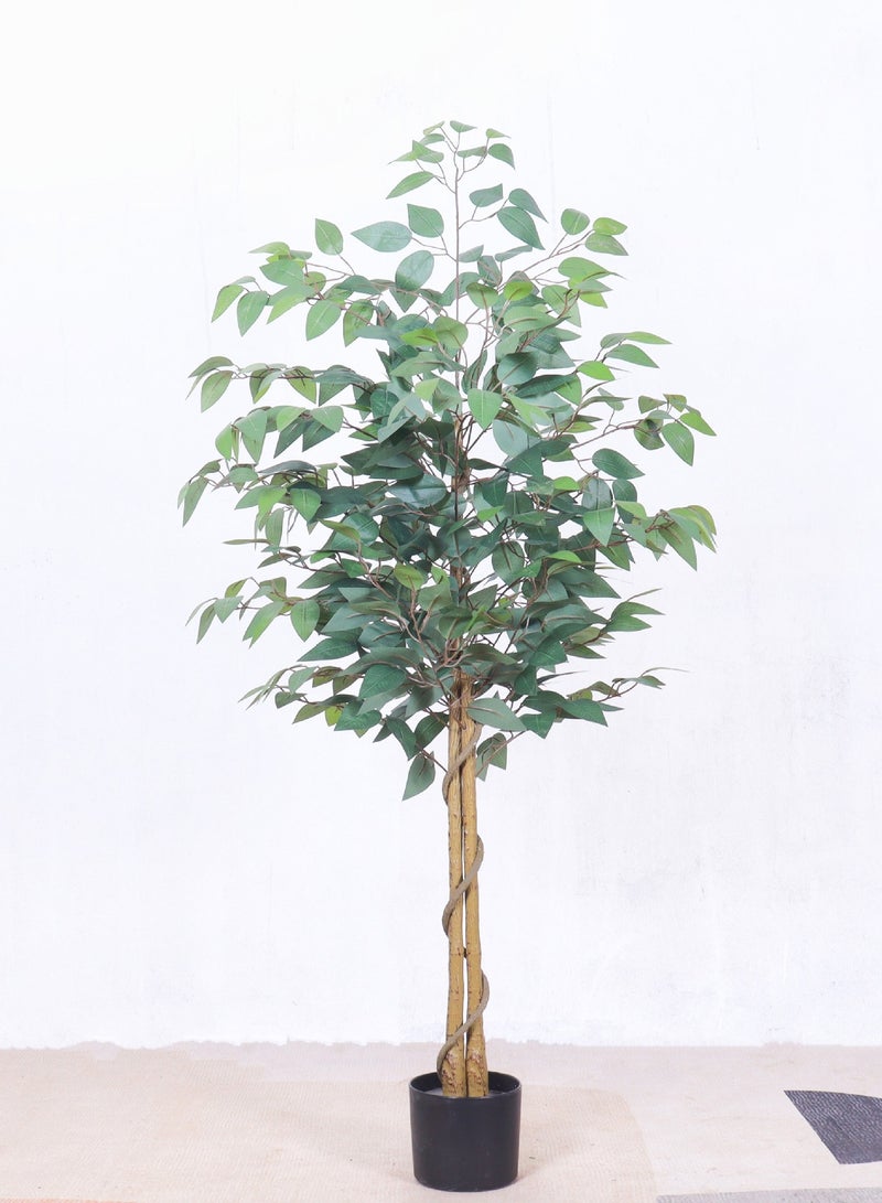Simulated Banyan Tree Potted Plant Available In Two Sizes 150CM/180CM For You To Choose From - Image 3