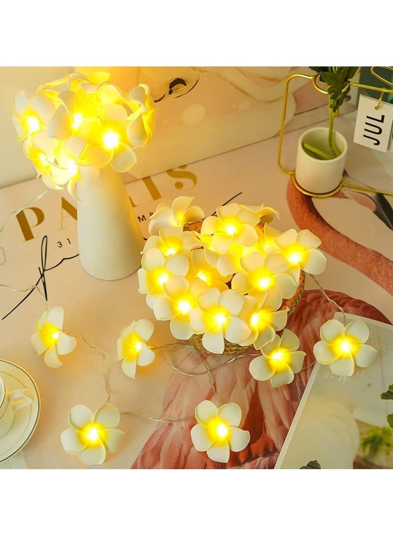 general Hawaii LED Frangipani String Light - USB/3AA powered fairy light for bedrooms, weddings, and beach parties - Image 1