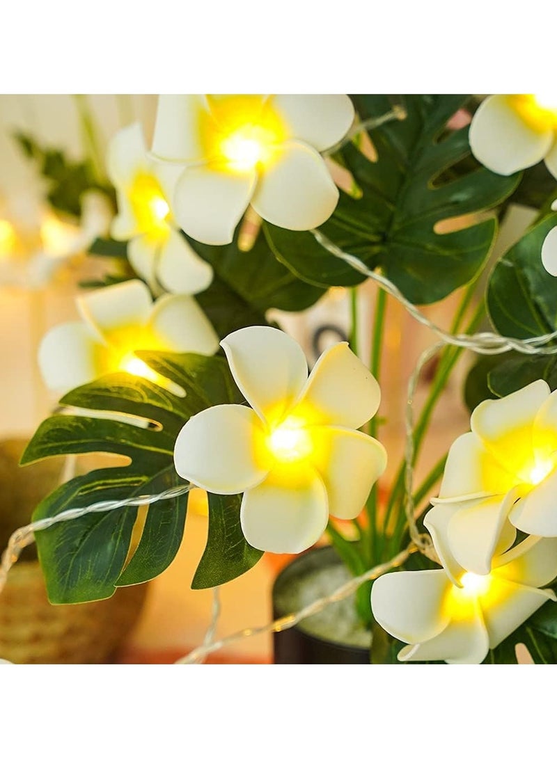 general Hawaii LED Frangipani String Light - USB/3AA powered fairy light for bedrooms, weddings, and beach parties - Image 3