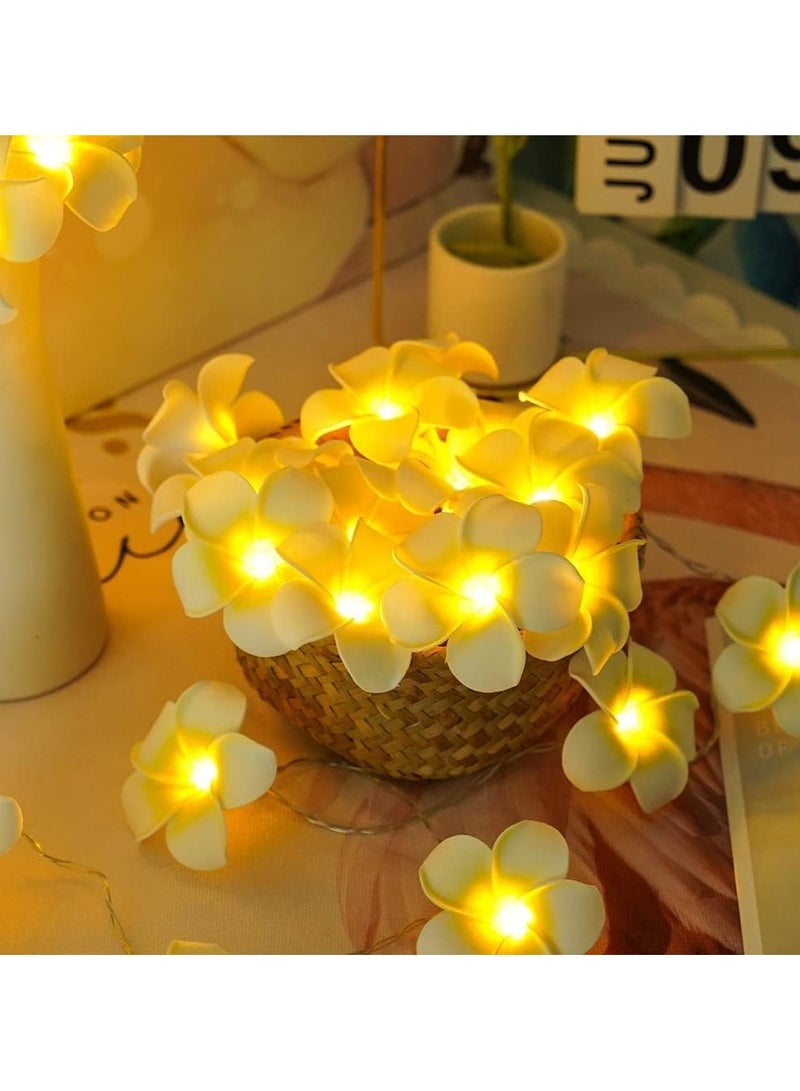 general Hawaii LED Frangipani String Light - USB/3AA powered fairy light for bedrooms, weddings, and beach parties - Image 2