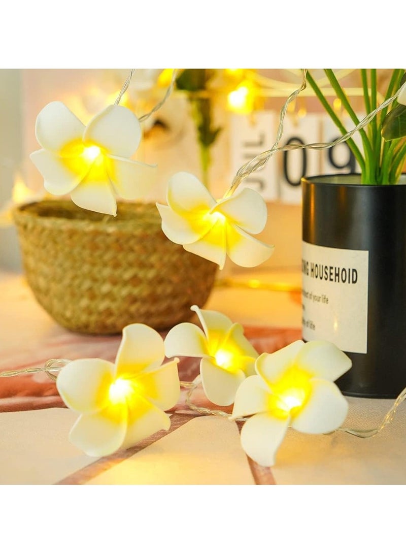 general Hawaii LED Frangipani String Light - USB/3AA powered fairy light for bedrooms, weddings, and beach parties - Image 4