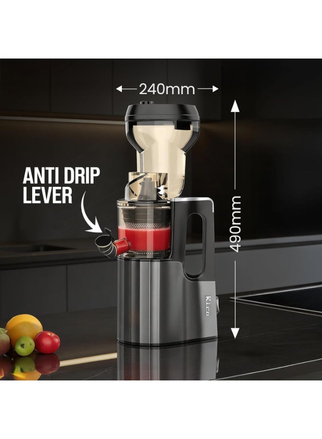Rico Cold Press Slow Juicer with Ice Cream Maker | 5 Years Motor Warranty | Slow Juicer for Fruits, Vegetables & Nut Milk | 10% More Juice, Less Waste | Low Noise | Anti-Drip | Easy to Clean - Image 4