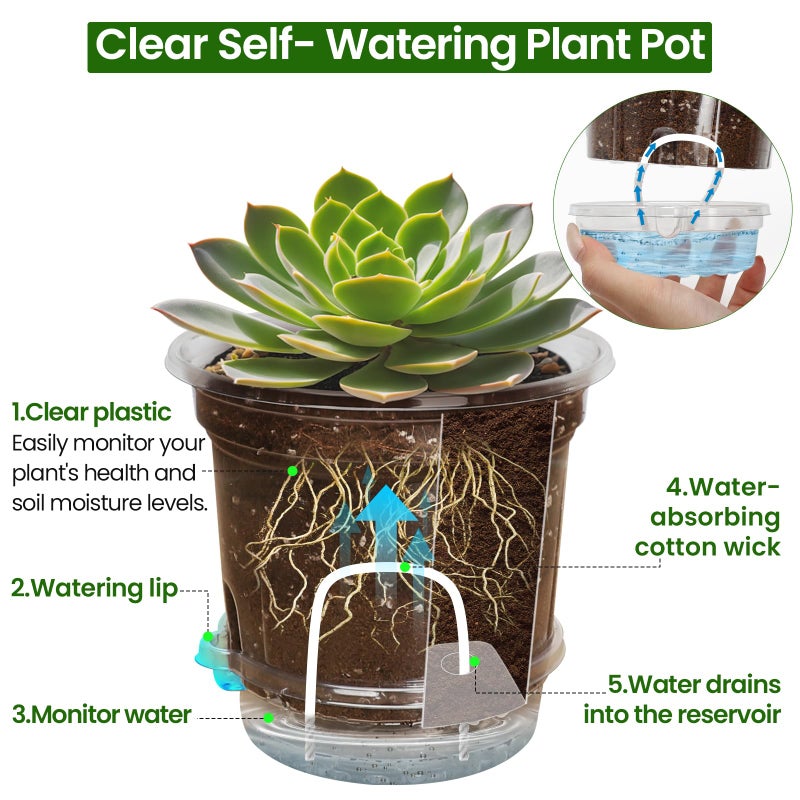 Bluepro 20 Pack 5 Inch Clear Self Watering Plant Pots with Bottom Water Tray & Watering Rope, Transparent Nursery Pots with Drainage for Seedlings, Herbs, and Houseplants - Image 4