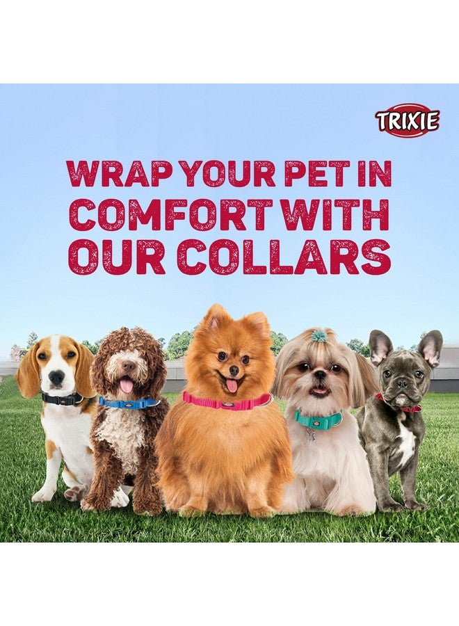 تريكسي حزام طوق للكلاب عالي الجودة، تصميم أنيق، شريط شبكي قابل للتعديل، تخفيف الضغط، مع موصل مقود، طوق رقبة للحيوانات الأليفة للكلاب، 30-45 سم (صغير، فوشيا) - عبوة من 3 قطع - Image 5