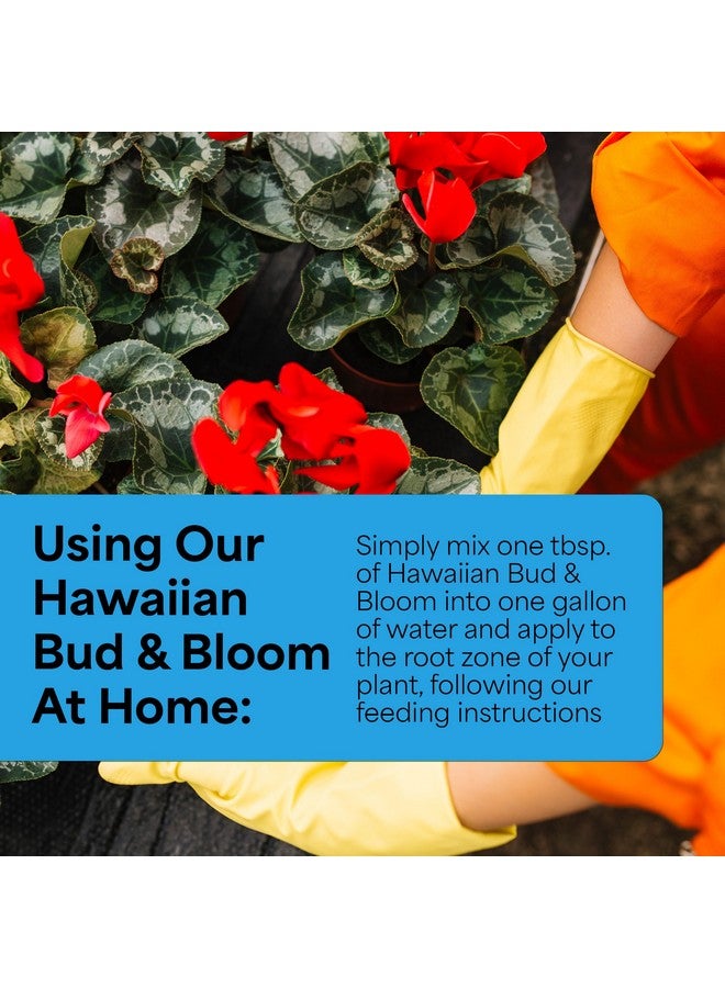 Grow More Urea-Free Hawaiian Bud and Bloom 5-50-17 Fertilizer - 3lbs of Water Soluble Bloom Booster Fertilizer for Flowers - High Phosphorus Flower Food for Enhanced Bud Formation & Vigorous Blooms - Image 4