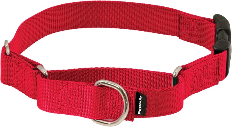 PetSafe Martingale Collar with Quick Snap Buckle, 3/8" Petite, Red - Image 1