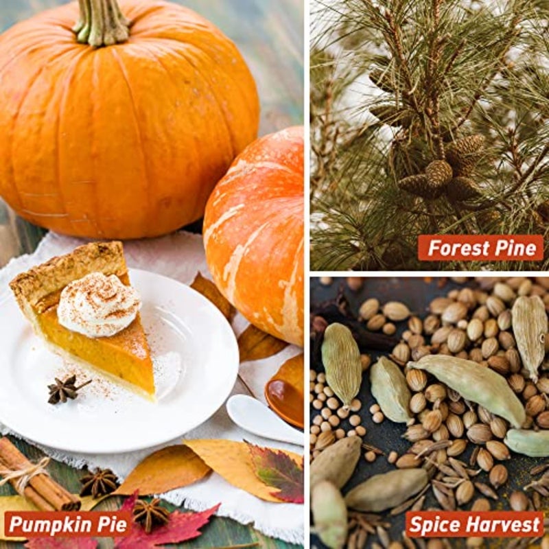Diffuser and candle making fragrance oils for autumn: pine, orange cinnamon, pumpkin pie, maple syrup scents in 10 ml glass bottles, natural aroma, warm earthy tones, long-lasting scent throw - Image 3