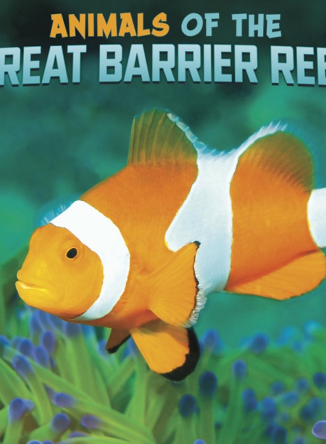 Animals of the Great Barrier Reef