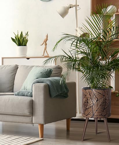 D'vine Dev 14 Inch Planter Pot with Stand, Mid-Century Tall Plant Pot with Legs for Indoor Plants, X-Large, Bronze/Grey, 88-L-D-6 - Image 5