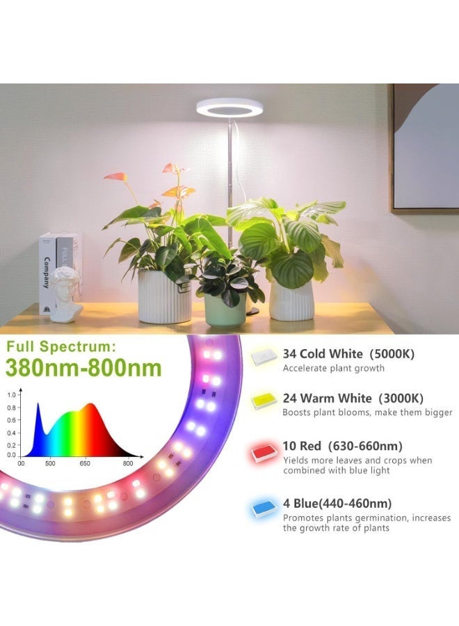 YOUWE7 Grow Light, LED Plant Light for Indoor Plants Growing, Full Spectrum Desk Growth Lamp with Automatic Timer for 4H/8H/12H, 4 Dimmable Levels, Height Adjustable 9.8"-30.6" - Image 2