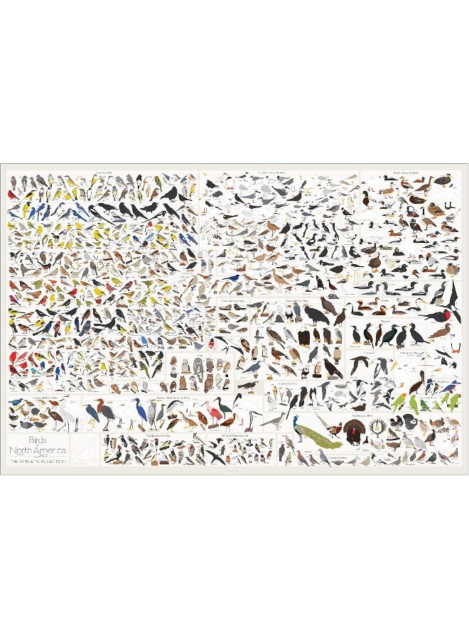 Pop Chart Lab Pop Chart - Poster Prints (24x36) - Prints All About Birds - Printed on Archival Stock - Features Fun Facts About Your Favorite Things - Image 4