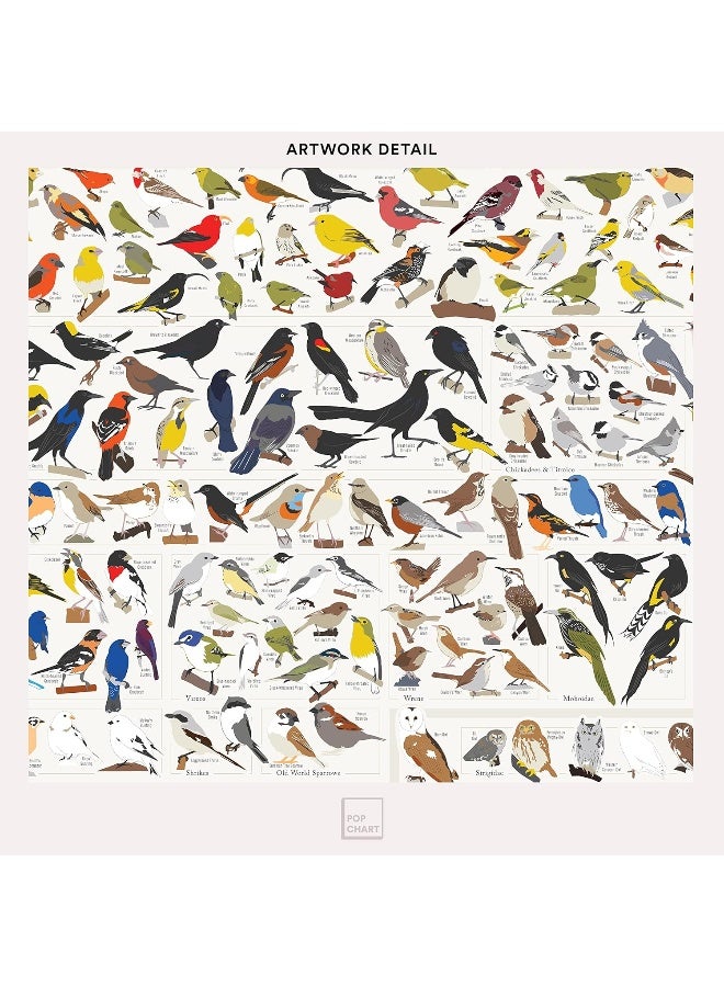 Pop Chart Lab Pop Chart - Poster Prints (24x36) - Prints All About Birds - Printed on Archival Stock - Features Fun Facts About Your Favorite Things - Image 1