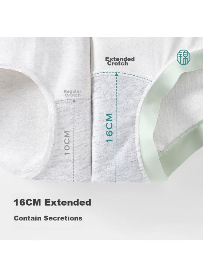 Jindu Extended Crotch Maternity Underwear, Pure Cotton, Antibacterial, High-waist, Spring And Summer, For Mid To Late Pregnancy, Specialized Large Size Shorts - Image 2