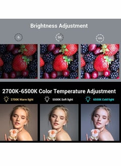Y&D Camera Lights, Portable LED Video Light, 96 Beads, CRI 95+ 2700-6500K Dimmable Panel, Rechargeable 2200mAh Photography Lighting with 3 Cold Shoe  - Image 2
