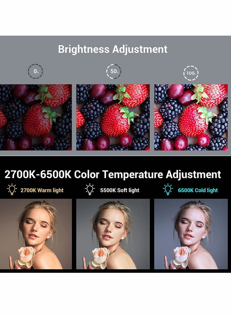 Y&D - Camera Lights, Portable LED Video Light, 96 Beads, CRI 95+ 2700-6500K Dimmable Panel, Rechargeable 2200mAh Photography Lighting with 3 Cold Shoe - Image 1