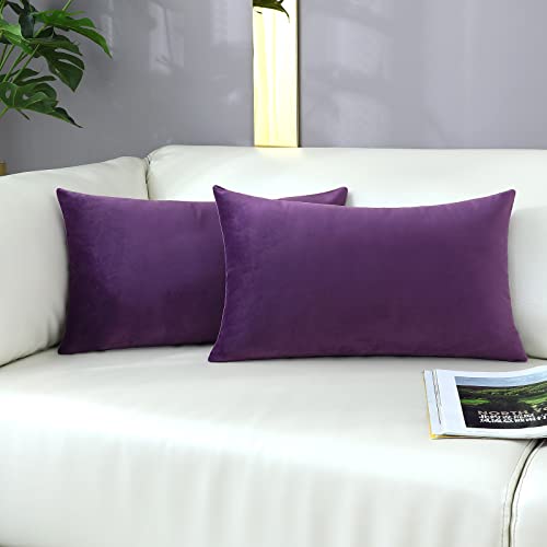 mixeoo Comfy Eggplant Purple Throw Pillow Covers Decorative Lumbar Solid Rectangle Thick Velvet Super Soft Cushion Cases Home Decor for Sofa Couch Living Room Chair, Set of 2, 12 x 20 Inch - Image 2