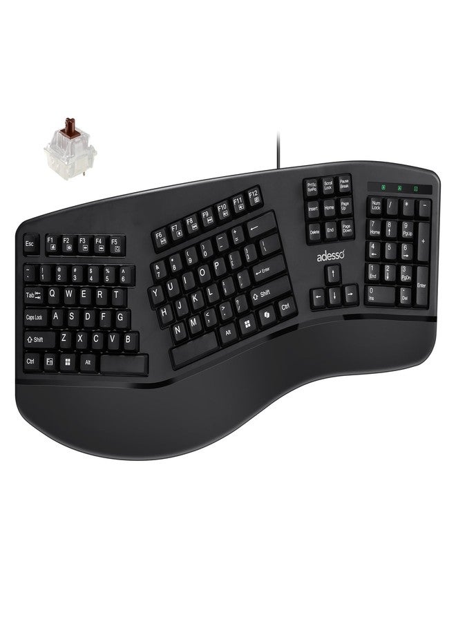 ADESSO EasyTouch 150 Ergonomic Wired Mechanical Keyboard with Cherry MX Brown Switches, Integrated Palm Rest, Dedicated Copilot AI Hotkey, Full-Sized Layout with Numeric Pad for Comfortable Typing - Image 1