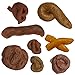PPXMEEUDC Different Shapes Fake Poo Fake Dog Poo Funny Joke Tricky Toys Prank Props for Halloween April Fools Day Prank Party - Image 2