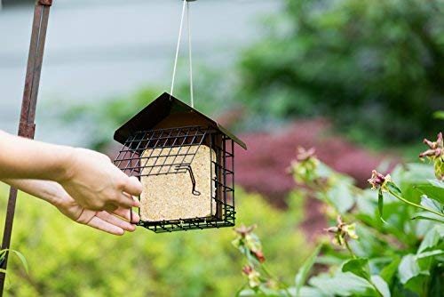MEKKAPRO Suet Feeder for Outside Hanging Metal Roof, Woodpecker Feeder, Two Suet Bird Feeder Capacity, Cage Hanger Hanging Bird Feeder Easily Fits 2 Suet Cakes Holder - Wild Bird Feeder Basket - Image 4