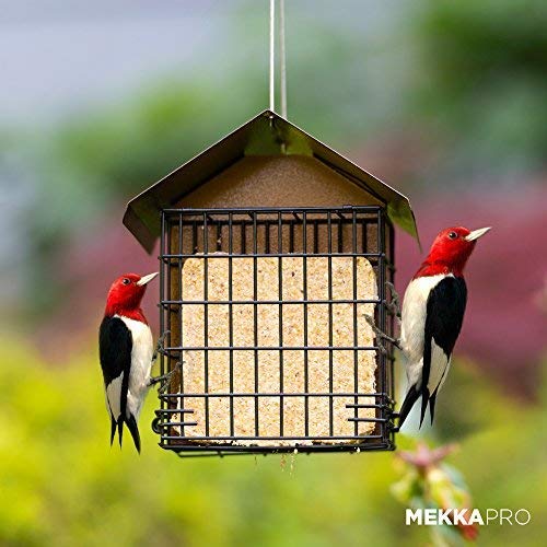 MEKKAPRO Suet Feeder for Outside Hanging Metal Roof, Woodpecker Feeder, Two Suet Bird Feeder Capacity, Cage Hanger Hanging Bird Feeder Easily Fits 2 Suet Cakes Holder - Wild Bird Feeder Basket - Image 5