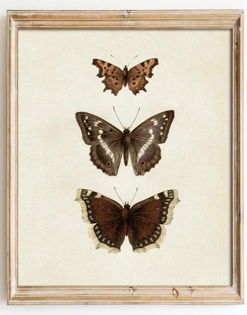 Kizbok Vintage Butterfly Wall Art Prints Decor Neutral Butterfly Sketch Canvas Prints Rustic Antique Butterfly Drawing Oil Painting, Butterfly Art Pictures for Bedroom, Farmhouse Wall Decor for Bathroom Home(8" x 10"-UNFRAMED) - Image 1