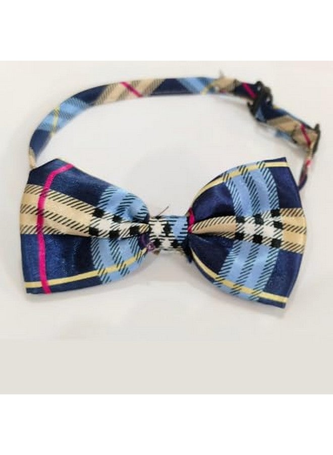 بت ربطة عنق للحيوانات الأليفة، ربطة عنق للرجال لتزيين طوق الكلاب والقطط - Image 1