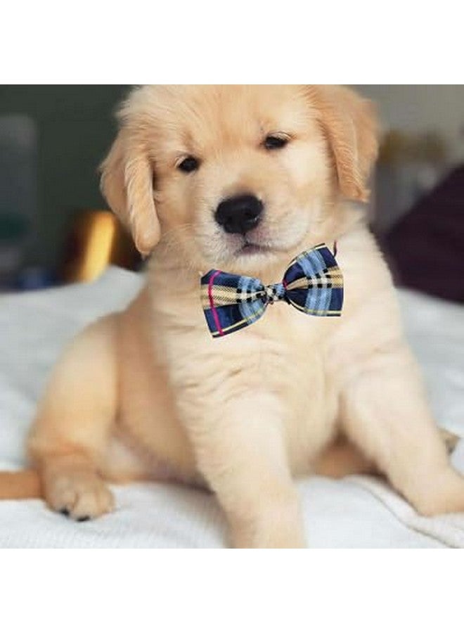 بت ربطة عنق للحيوانات الأليفة، ربطة عنق للرجال لتزيين طوق الكلاب والقطط - Image 3