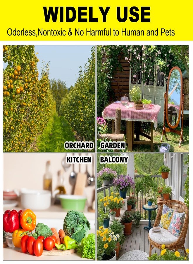 Mosqueda 36PCS Fruit Fly Sticky Traps Fungus Gnat Traps Insect Trap for Plants Kitchen Indoor Outdoor White Flies Mosquitos Fungus Gnats Flying Insects Houseplant Gifts (Rocker Shape) - Image 4
