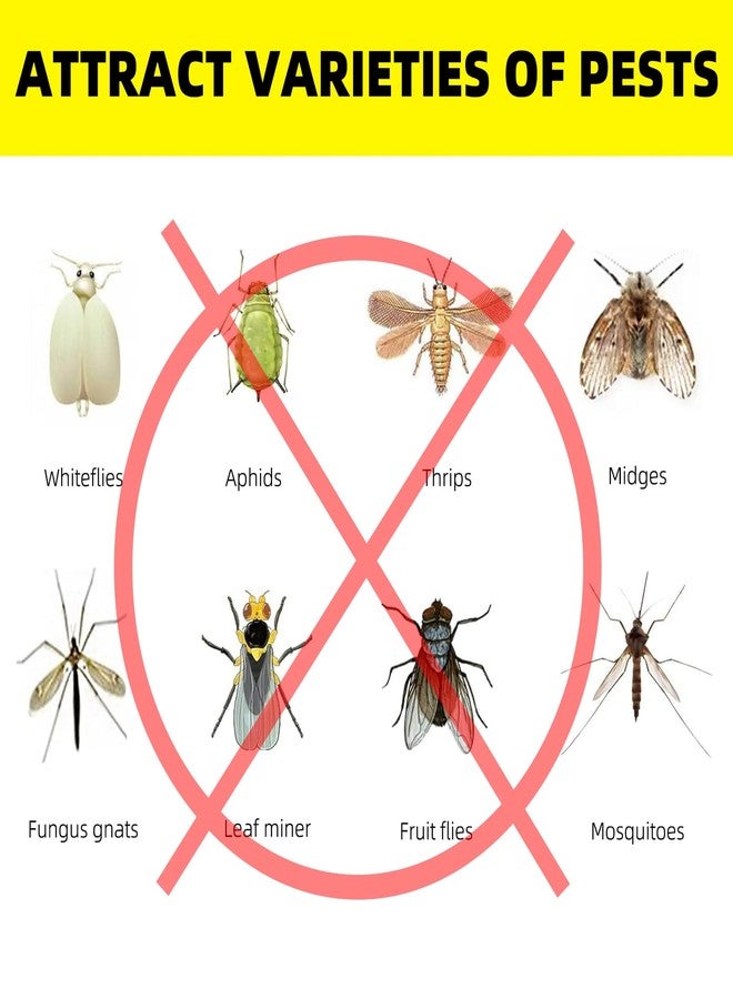 Mosqueda 36PCS Fruit Fly Sticky Traps Fungus Gnat Traps Insect Trap for Plants Kitchen Indoor Outdoor White Flies Mosquitos Fungus Gnats Flying Insects Houseplant Gifts (Rocker Shape) - Image 2