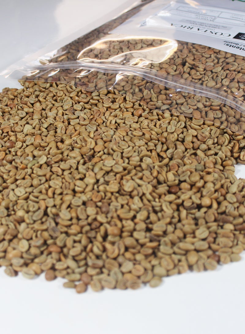 Royal Simplicity Coffee Costa Rica Chirripo - Image 2