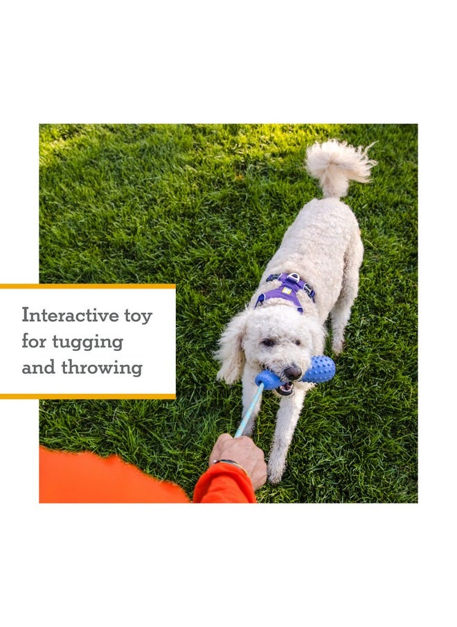 RUFFWEAR Ruffwear, Gourdo Natural Rubber Throw Toy for Dogs with Rope Handle, Campfire Orange, Large  - Image 2