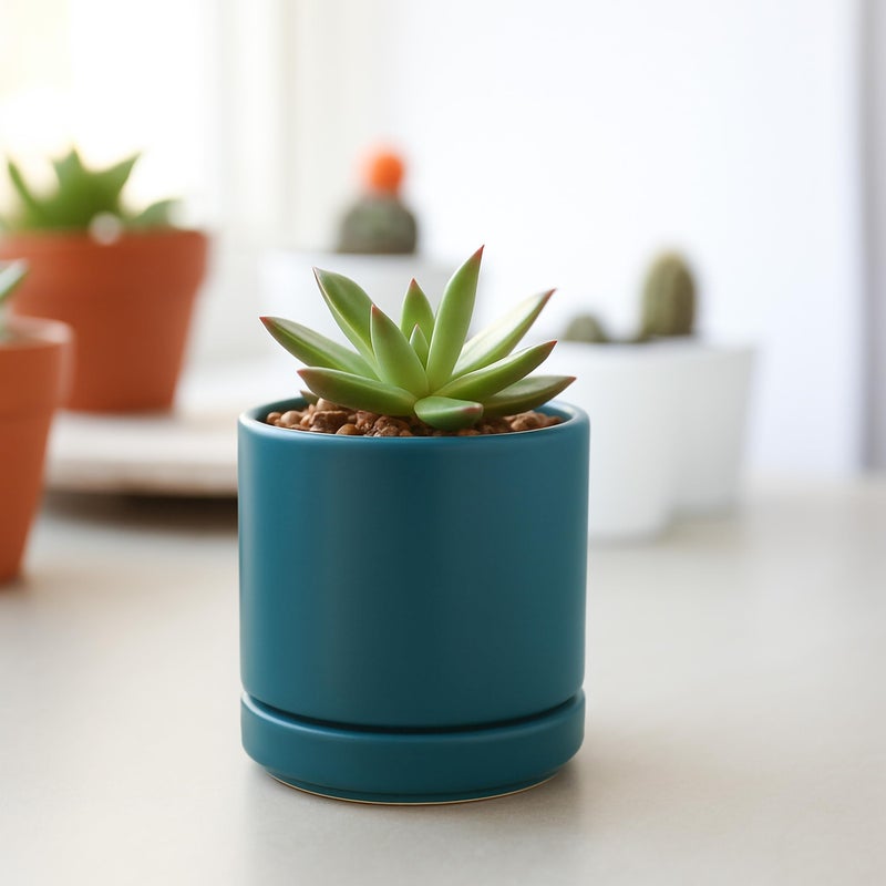 D'vine Dev 3.5 Inch Ceramic Planter Pot with Drainage Hole and Saucer, Indoor Cylinder Round Planter Pot, Teal, 94-O-A-9 - Image 5