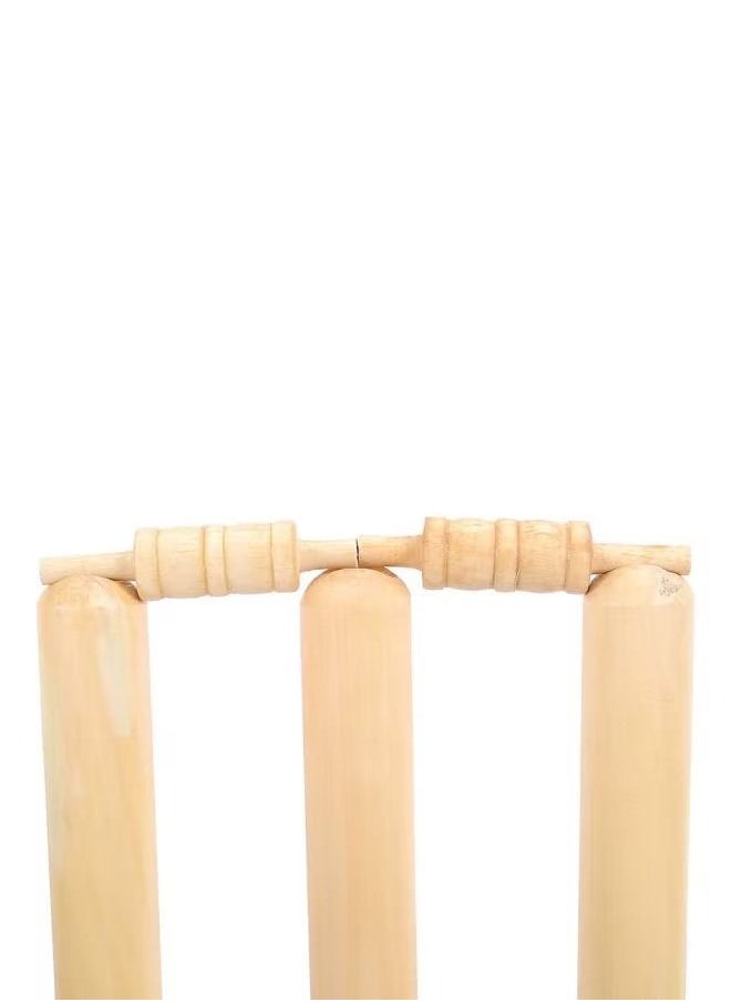 Generic Cricket Stumps With Spring Stand 28 inch  - Image 5