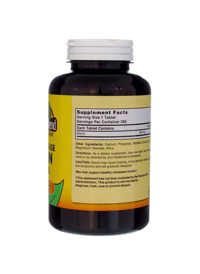 Nature's Blend - Niacin Timed Release 500 mg 500 mg 300 Tabs - Image 1
