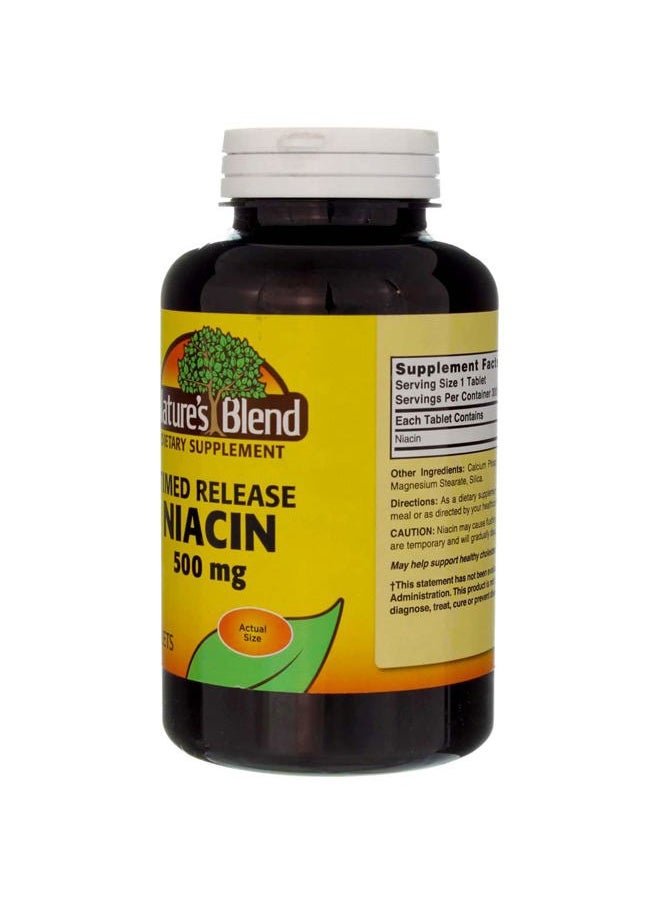 Nature's Blend - Niacin Timed Release 500 mg 500 mg 300 Tabs - Image 1
