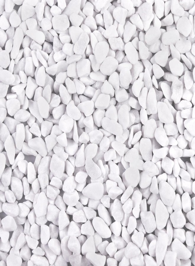 Ausluru 5lb River Rocks Polished Silica Gravel for Plants Garden, Decorative Pebbles Ideal for Fish Tank, Vases, Succulents, Crafting, Home Decor and Garden Landscaping, Snow White(0.2-0.3”) - Image 1