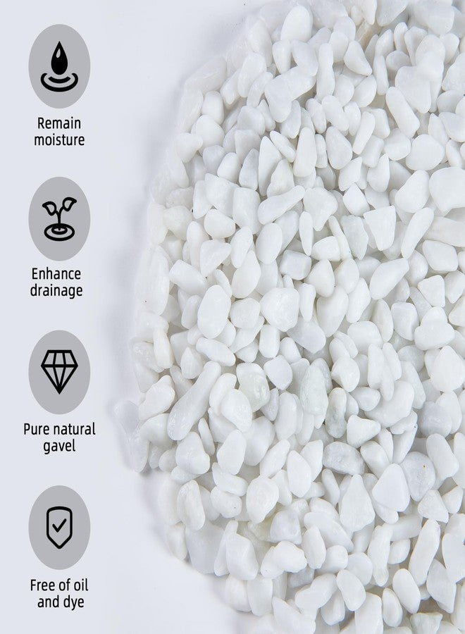Ausluru 5lb River Rocks Polished Silica Gravel for Plants Garden, Decorative Pebbles Ideal for Fish Tank, Vases, Succulents, Crafting, Home Decor and Garden Landscaping, Snow White(0.2-0.3”) - Image 4
